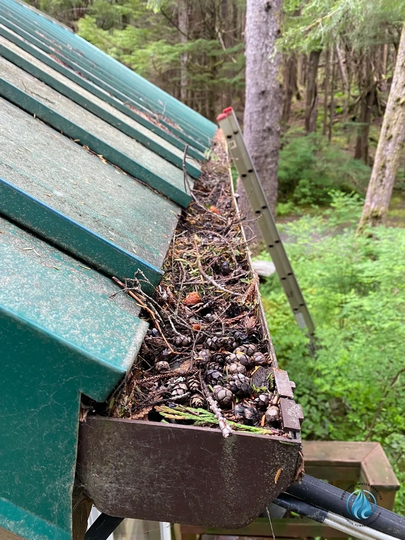 Gutter Cleaning — Northwest Water Services
