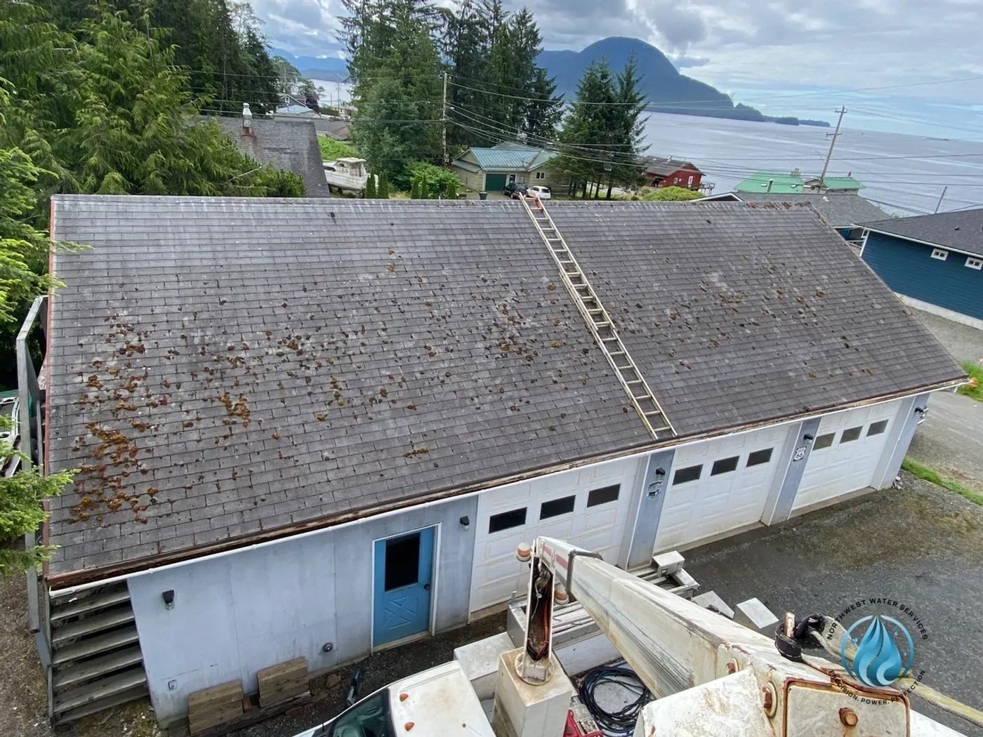 Moss-covered roof before treatment by Northwest Water Services