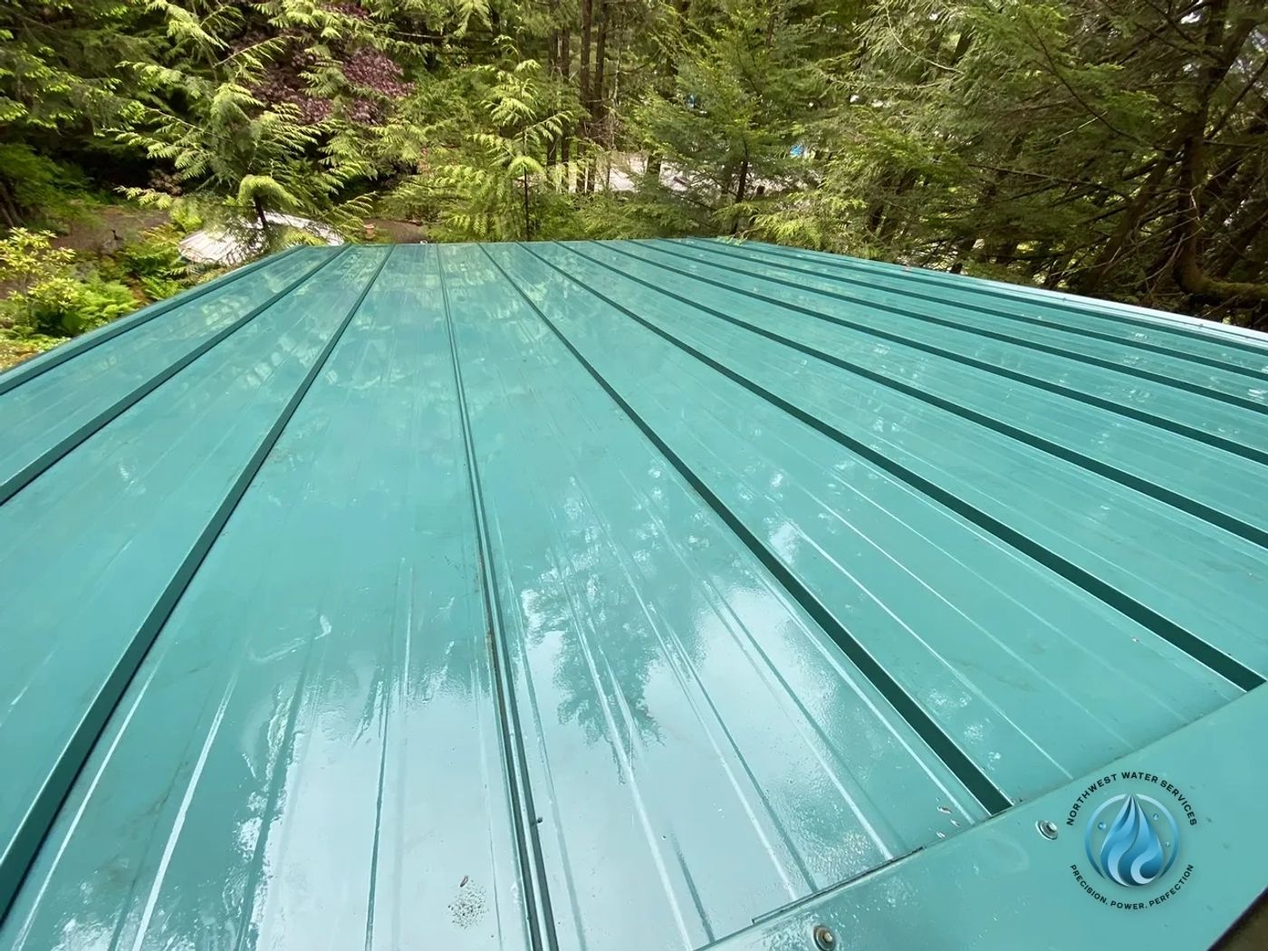 Roof Soft Wash & Moss Treatment — Northwest Water Services